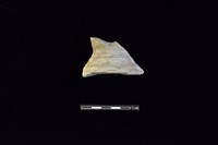 藏品(陶罐)的圖片